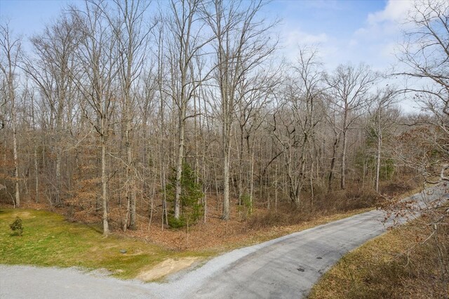 2029 Shalako Dr, Crossville, TN 38572 - photo 4