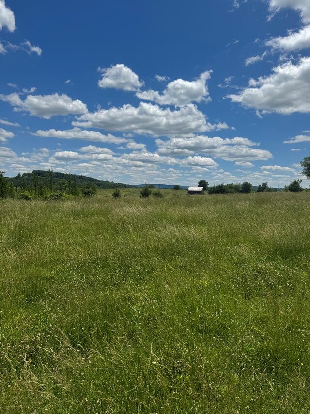 TRACT5 Old Kentucky Road Highway Unit 528, Albany, KY 42602