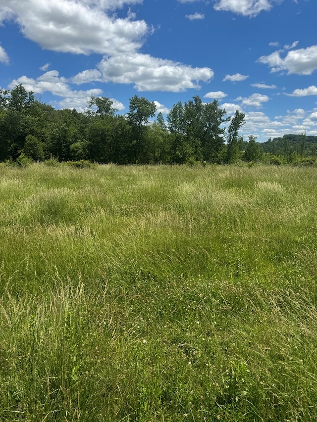TRACT5 Old Kentucky Road Highway Unit 528, Albany, KY 42602