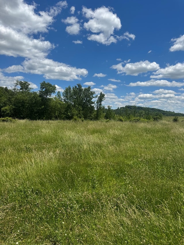 TRACT5 Old Kentucky Road Highway Unit 528, Albany, KY 42602