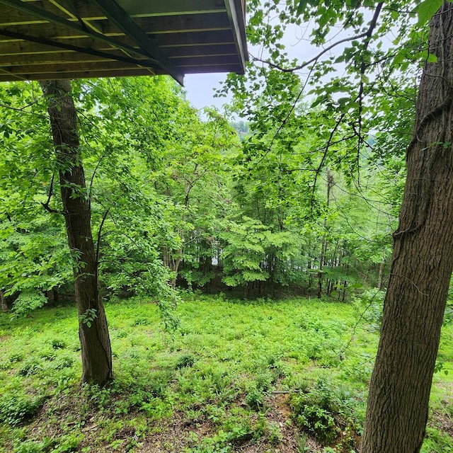 268 Summer Ct, Smithville, TN 37166 - photo 31
