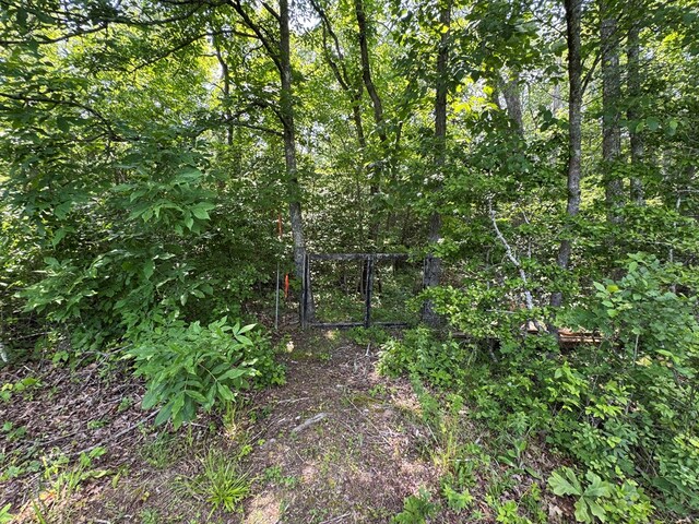 108 Hawn Dr, Crab Orchard, TN 37723 - photo 49