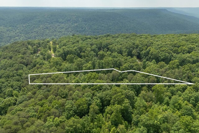 LOT146A Falls Ln, Spencer, TN 38585
