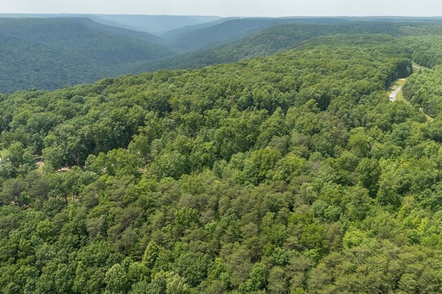 LOT146A Falls Ln, Spencer, TN 38585