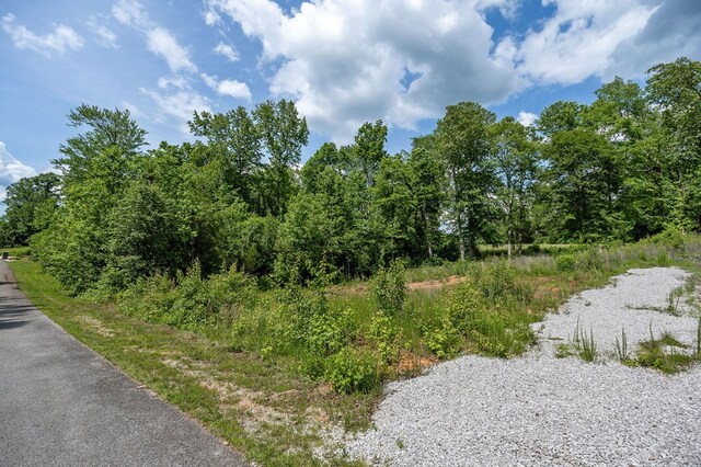 00 Deer View Dr, Sparta, TN 38583 - photo 20