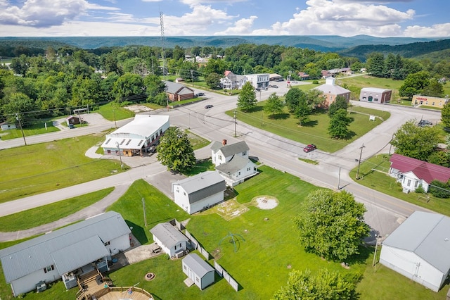 15 Spring St, Spencer, TN 38585 - photo 54