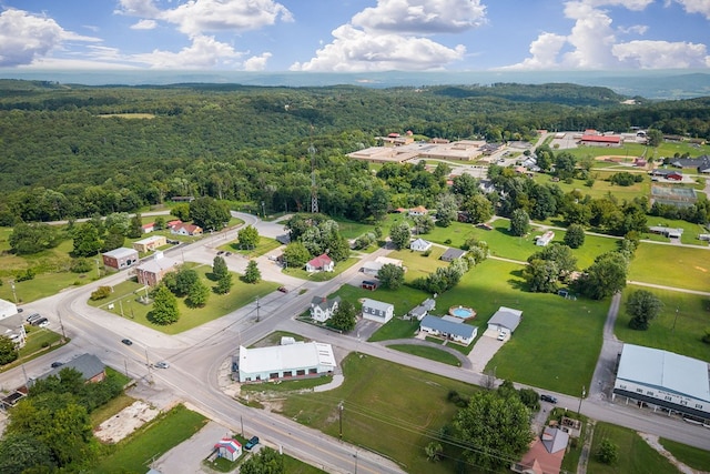 15 Spring St, Spencer, TN 38585 - photo 60