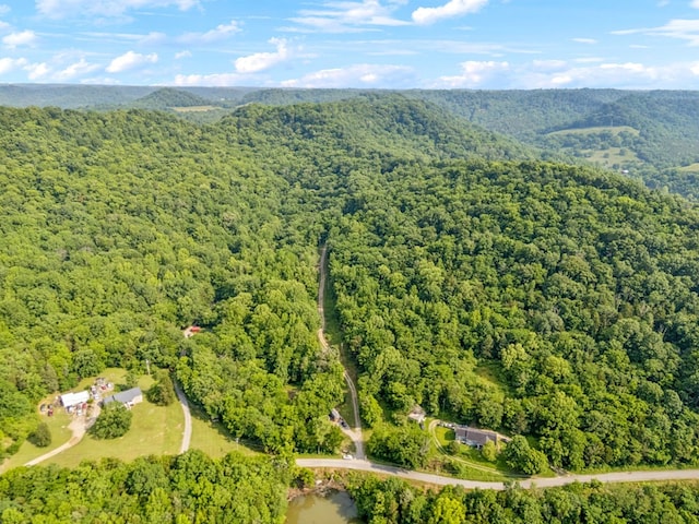 216 Sullivans Bend Rd, Elmwood, TN 38560 - photo 19