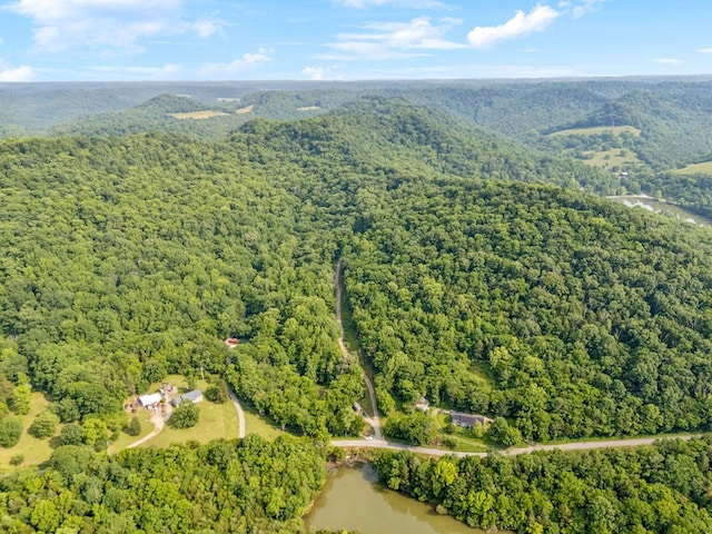 216 Sullivans Bend Rd, Elmwood, TN 38560 - photo 13