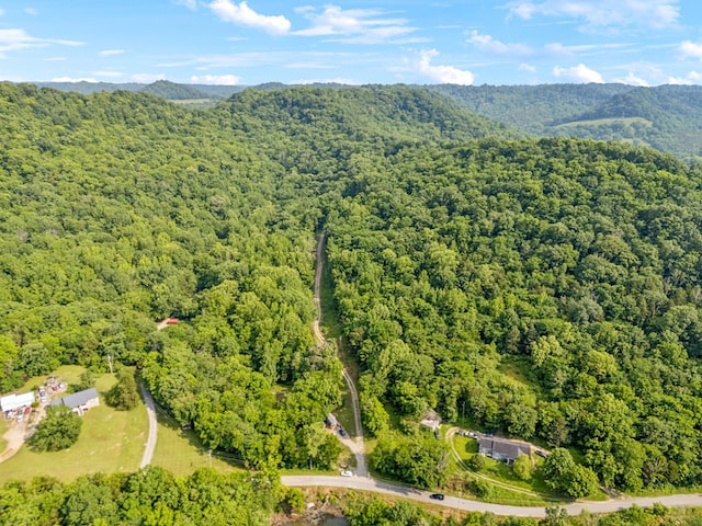 216 Sullivans Bend Rd, Elmwood, TN 38560 - photo 20