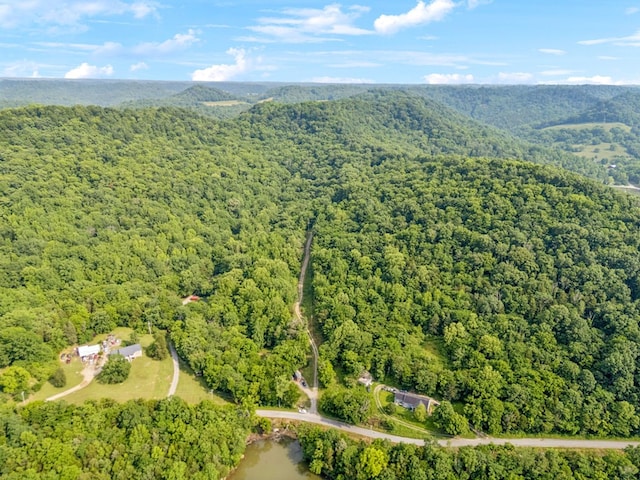 216 Sullivans Bend Rd, Elmwood, TN 38560 - photo 16