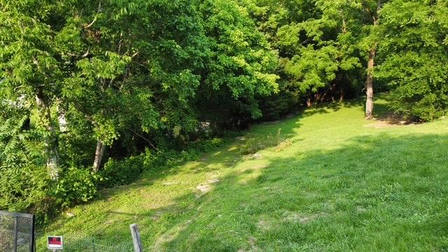 216 Sullivans Bend Rd, Elmwood, TN 38560 - photo 26