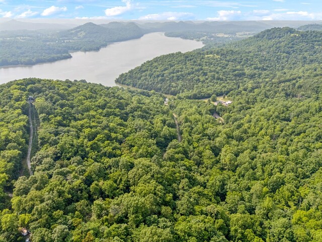 216 Sullivans Bend Rd, Elmwood, TN 38560 - photo 4