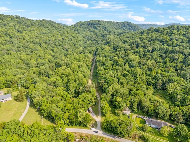 216 Sullivans Bend Rd, Elmwood, TN 38560 - photo 3