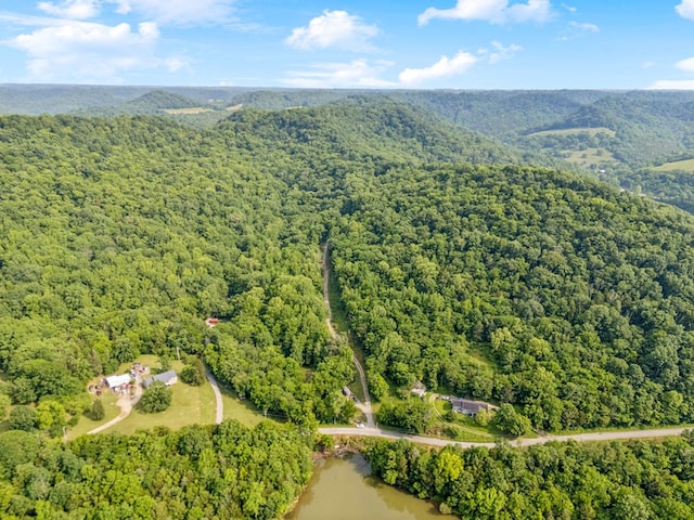 216 Sullivans Bend Rd, Elmwood, TN 38560 - photo 15