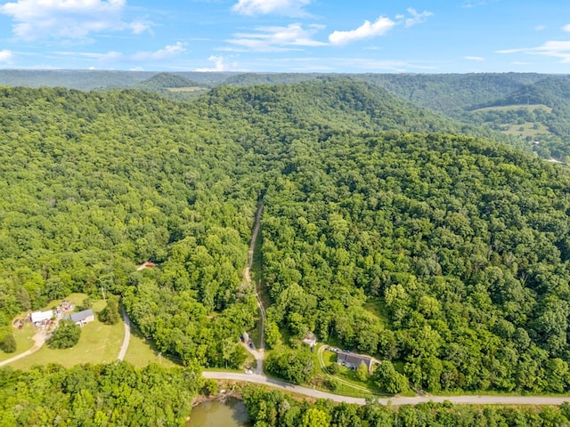 216 Sullivans Bend Rd, Elmwood, TN 38560 - photo 18