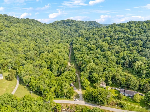 216 Sullivans Bend Rd, Elmwood, TN 38560 - photo 2