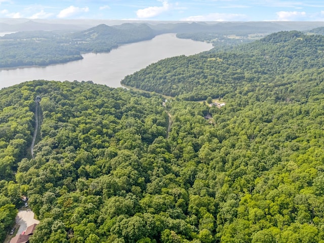 216 Sullivans Bend Rd, Elmwood, TN 38560 - photo 6