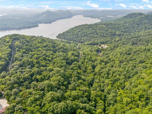216 Sullivans Bend Rd, Elmwood, TN 38560 - photo 5