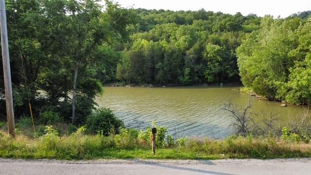 216 Sullivans Bend Rd, Elmwood, TN 38560 - photo 23