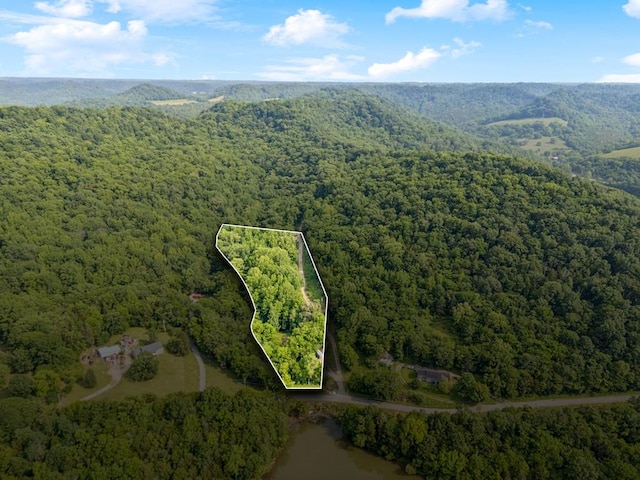 216 Sullivans Bend Rd, Elmwood, TN 38560 - photo 1