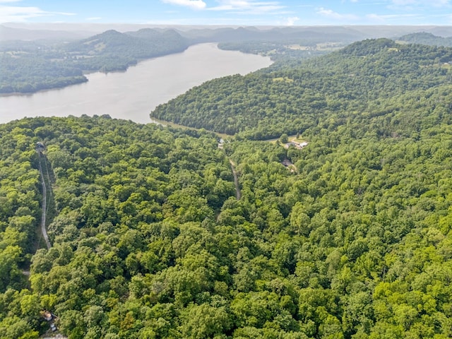 216 Sullivans Bend Rd, Elmwood, TN 38560 - photo 7