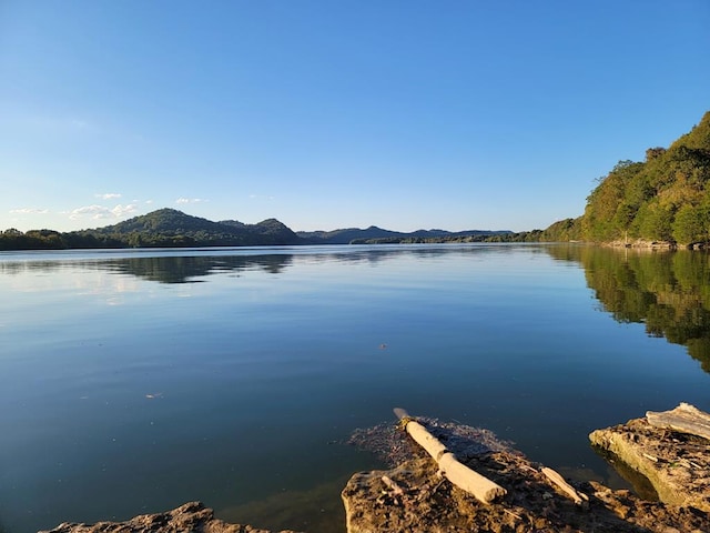 216 Sullivans Bend Rd, Elmwood, TN 38560 - photo 34