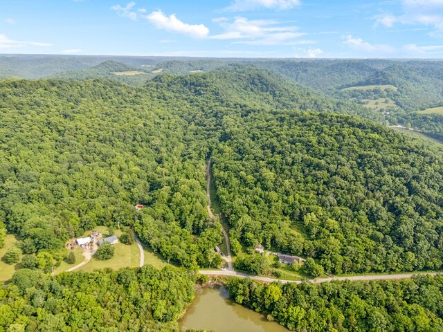 216 Sullivans Bend Rd, Elmwood, TN 38560 - photo 14