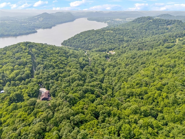 216 Sullivans Bend Rd, Elmwood, TN 38560 - photo 11