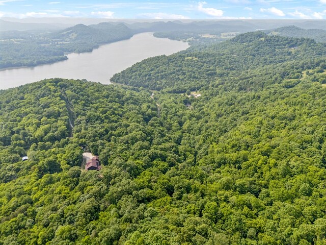 216 Sullivans Bend Rd, Elmwood, TN 38560 - photo 10