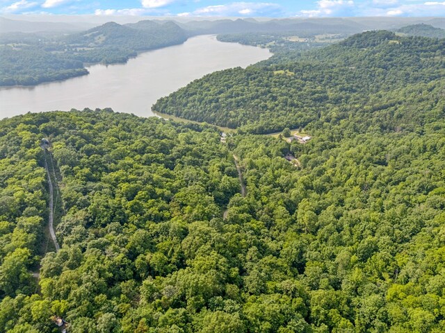 216 Sullivans Bend Rd, Elmwood, TN 38560 - photo 9