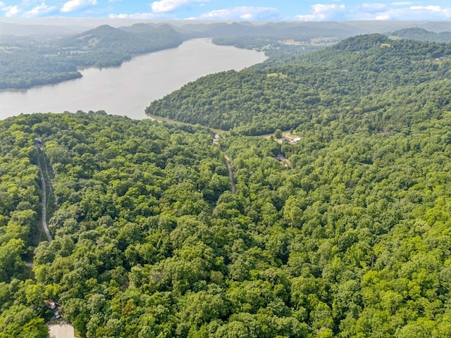 216 Sullivans Bend Rd, Elmwood, TN 38560 - photo 8