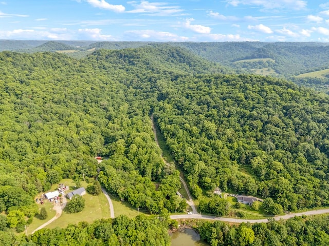 216 Sullivans Bend Rd, Elmwood, TN 38560 - photo 17