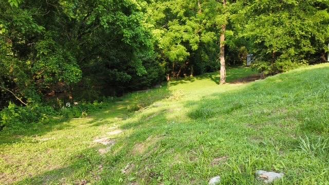 216 Sullivans Bend Rd, Elmwood, TN 38560 - photo 31