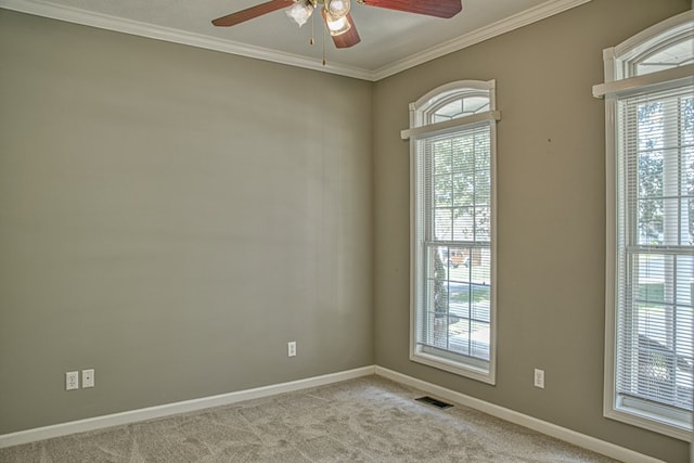 573 Windrowe Dr, Cookeville, TN 38506 - photo 26