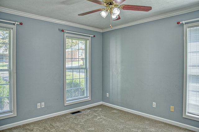 573 Windrowe Dr, Cookeville, TN 38506 - photo 27