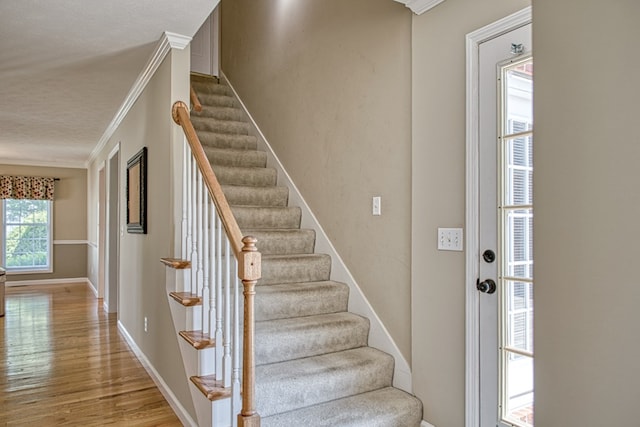 573 Windrowe Dr, Cookeville, TN 38506 - photo 35
