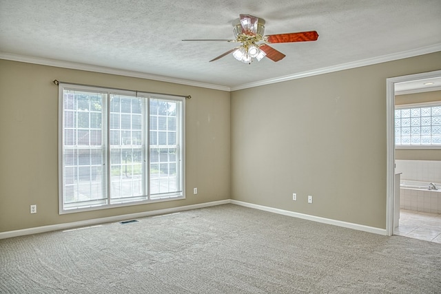573 Windrowe Dr, Cookeville, TN 38506 - photo 29
