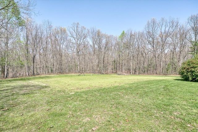 1569 Hollis Poore Rd, Jamestown, TN 38556 - photo 10