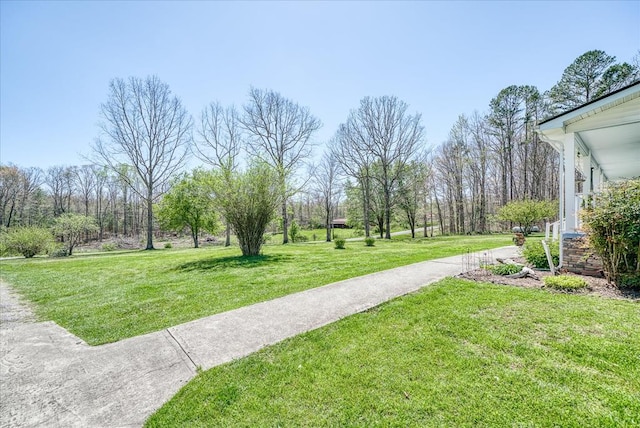 1569 Hollis Poore Rd, Jamestown, TN 38556 - photo 13
