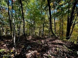 LOT46 Honey Springs Rd, Crawford, TN 38554 - photo 6