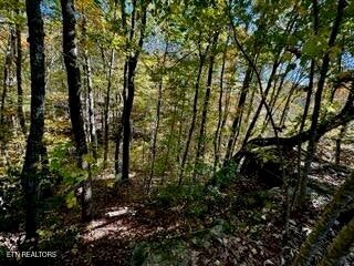 LOT46 Honey Springs Rd, Crawford, TN 38554 - photo 8