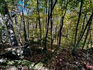 LOT46 Honey Springs Rd, Crawford, TN 38554 - photo 7