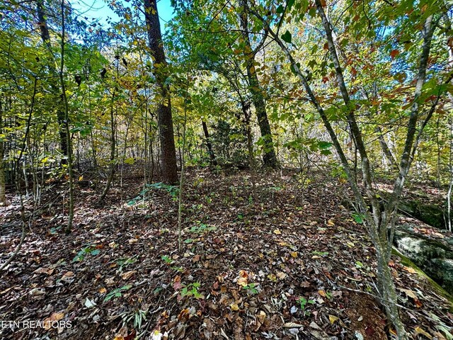 LOT46 Honey Springs Rd, Crawford, TN 38554 - photo 2