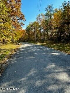 LOT46 Honey Springs Rd, Crawford, TN 38554 - photo 11
