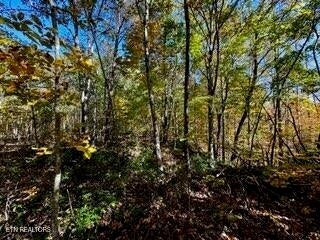 LOT46 Honey Springs Rd, Crawford, TN 38554 - photo 4