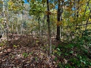 LOT46 Honey Springs Rd, Crawford, TN 38554 - photo 5