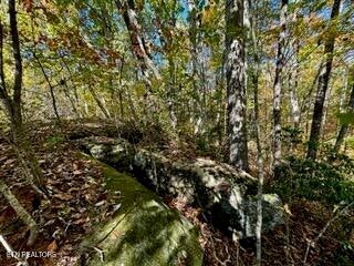 LOT46 Honey Springs Rd, Crawford, TN 38554 - photo 10