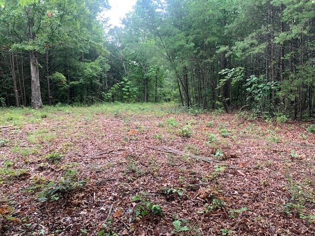 LOT56 Meadow Dr, Spencer, TN 38585 - photo 3