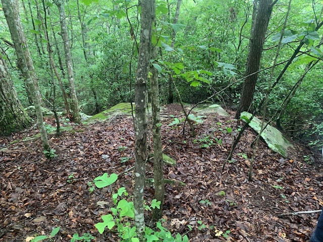 LOT56 Meadow Dr, Spencer, TN 38585 - photo 6